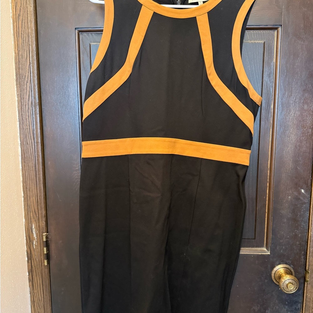 Black and Tan Pencil Dress